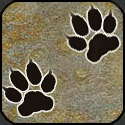Mosaic wolf or dog tracks.